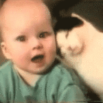 cat and baby