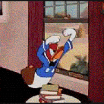 daffy duck anger