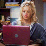 hide computer big bang theory