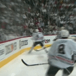 hockey check