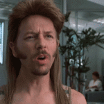 joe dirt
