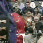 raptors mascot fall