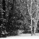 snowing