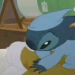 stich goes to bed