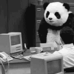 Upset Panda