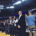 warriors fan