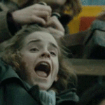 Hermione Granger Cheers During Quidditch Match