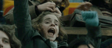 Hermione-Granger-Cheers-During-Quidditch-Match.gif