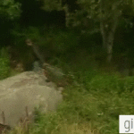 Ricky Falls Down Hill Chasing Bubbles as Security Guard Trailer Park Boys