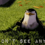 You Didnt See Anything Madagascar