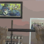 chris bosh pull ups