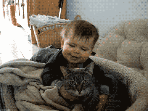 http://gifrific.com/wp-content/uploads/2012/07/Baby-Hugging-Cat.gif