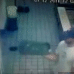 Cafeteria Ninja Tray Throw Fall