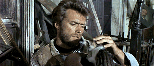 [Image: Clint-Eastwood-Playing-With-Cat.gif]