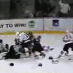 Hockey Goalie Jumps on top of Fight AHL