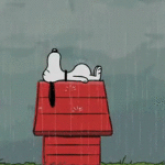 rainy sleepy snoopy peanuts