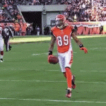 Jerome Simpson Front Flip Over Defender for Touchdown