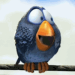 Laugh to Anger Rio Bird