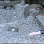 cat walks by high five