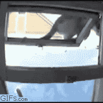 Cat Climbs down window into house