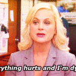 Everything Hurts and Im Dying Parks and Recreation