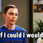 If I Could I Would Sheldon Big Bang Theory