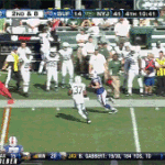 Scott Chandler Knocks Down Rex Ryan on Sidelines