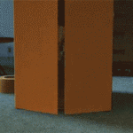 Woodie Coming out of a box
