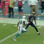 Brandon Gibson One-Handed Catch St Louis Rams