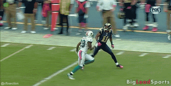 Brandon-Gibson-One-Handed-Catch-St-Louis-Rams.gif