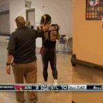Danny Amendola Throws Helmet After Injury
