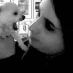 Dog Bites Girls Nose