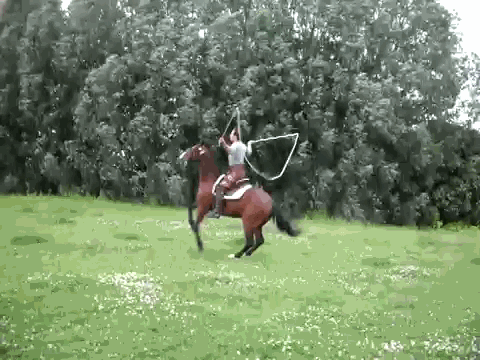 Horse-Jump-Rope.gif