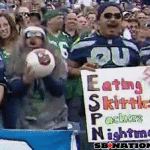 Seattle Seahawks Cast Away Wilson Fan