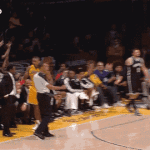 Lakers Metta World Peace Rubs Nets Coach Avery Johnsons Head