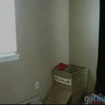Cat Jumping Out of Laundry Basket