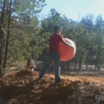 Exercise Ball Fail Truck