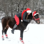 Girl Falls Off Horse