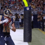 Danny Amendola Spikes Ball into Mans Face