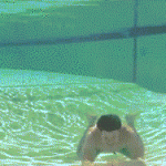 Guy Swims into Clear Wall