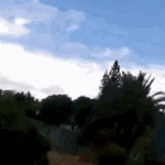 Kid Riding on Back of Truck Smiling