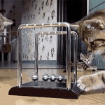 Kittens Playing With Newtons Cradle