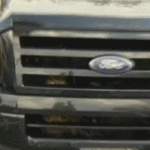 Owl Stuck in Car Grill