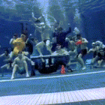 UGA Swimming and Diving Harlem Shake Dance
