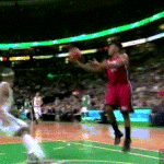 LeBron James Dunk on Jason Terry