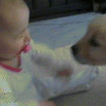 Baby Playing With Puppy