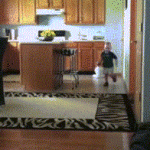 Cat Jumps On Boy Knocks Him Over