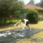 Slip N Slide Fail