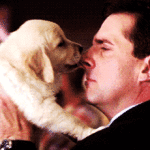 Puppy Licking Michael Scott's Nose