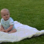 Yorkie Playing With Baby Boy